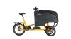 Chike e-Cargo Pro SE Unisex 50 cm grau