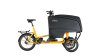 Chike e-Cargo Pro Unisex 50 cm grau