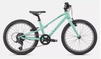 Specialized Jett 20 GLOSS OASIS / FOREST GREEN 20
