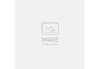 Specialized Diverge Sport Carbon - Shimano GRX Satin Carbon / Blue Onyx 44